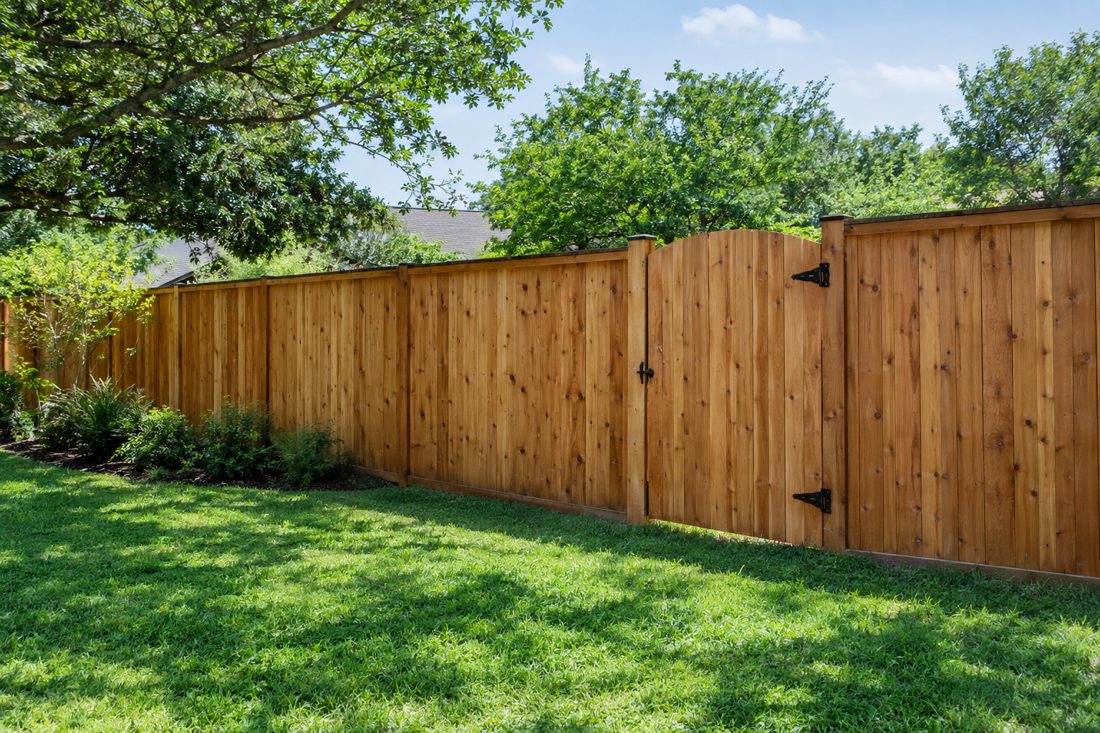 Angy's Tree, Fence, Lawn & Junk Removal | Austin, TX | Free Estimates