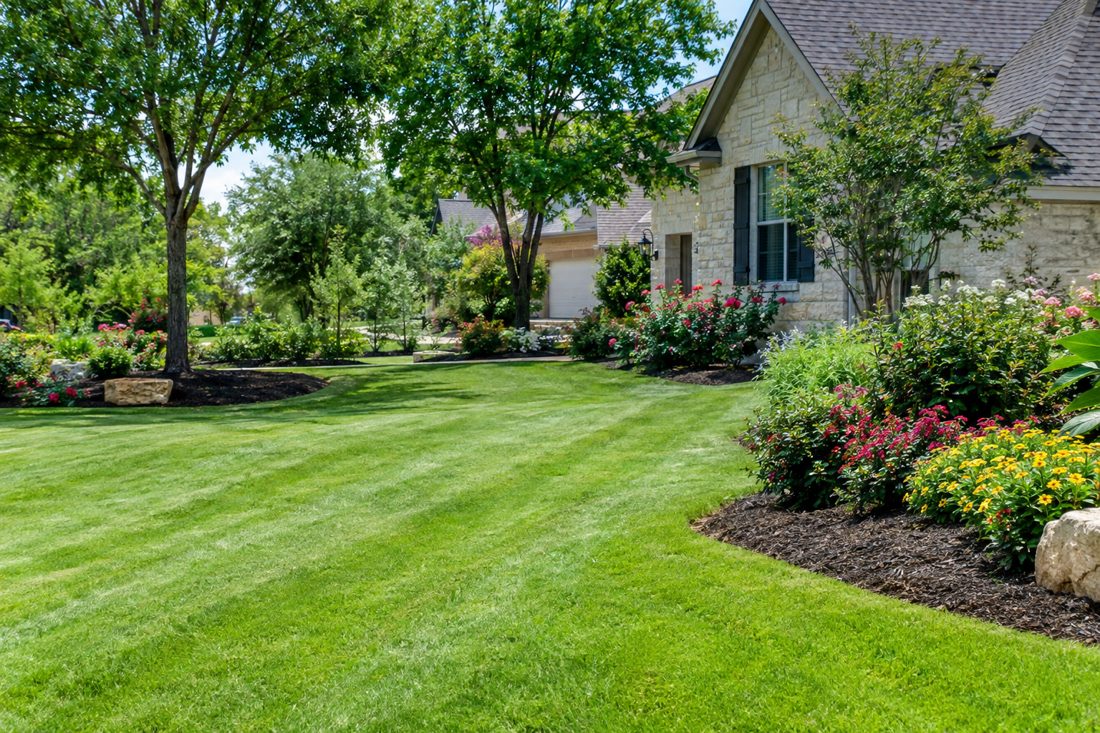 Angy's Tree, Fence, Lawn & Junk Removal | Austin, TX | Free Estimates
