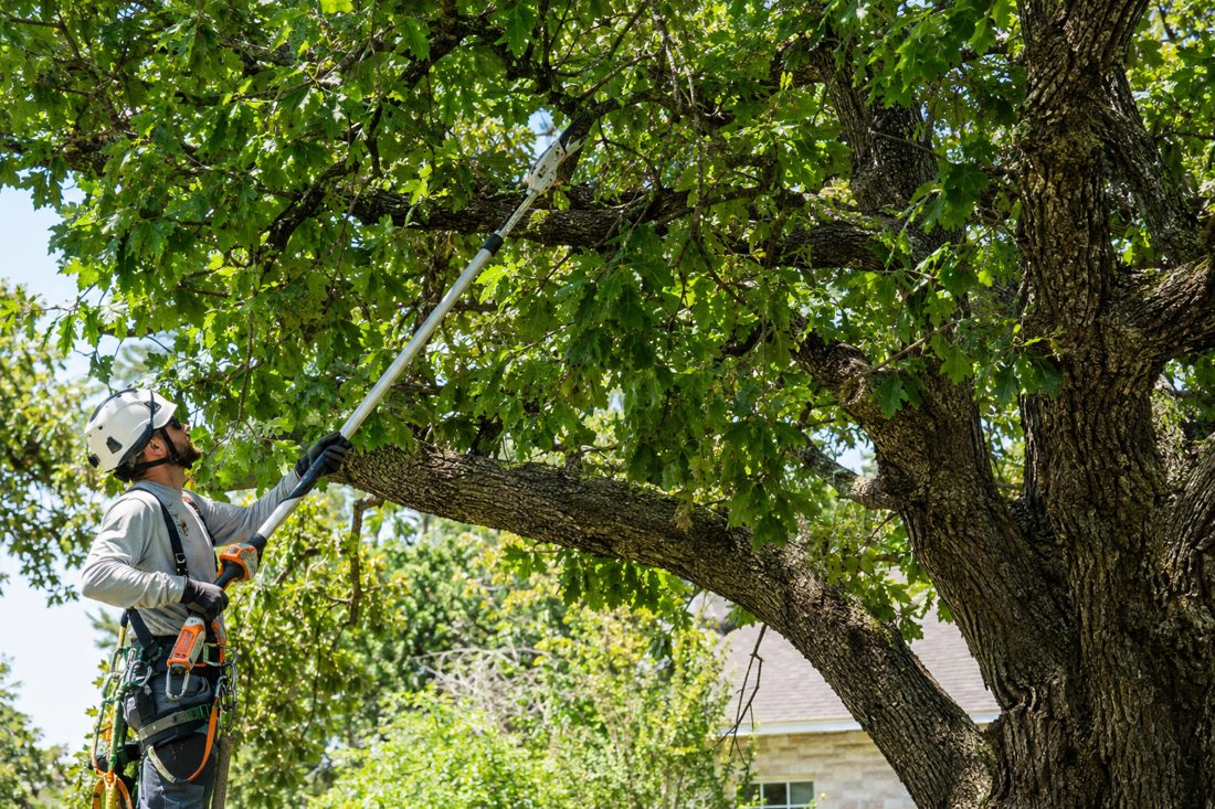 Angy's Tree, Fence, Lawn & Junk Removal | Austin, TX | Free Estimates